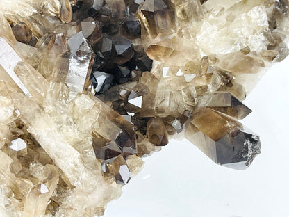 3.77kg Smoky Quartz Cluster