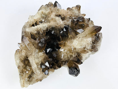 3.77kg Smoky Quartz Cluster