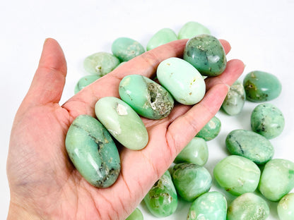 Chrysoprase Tumble Stone