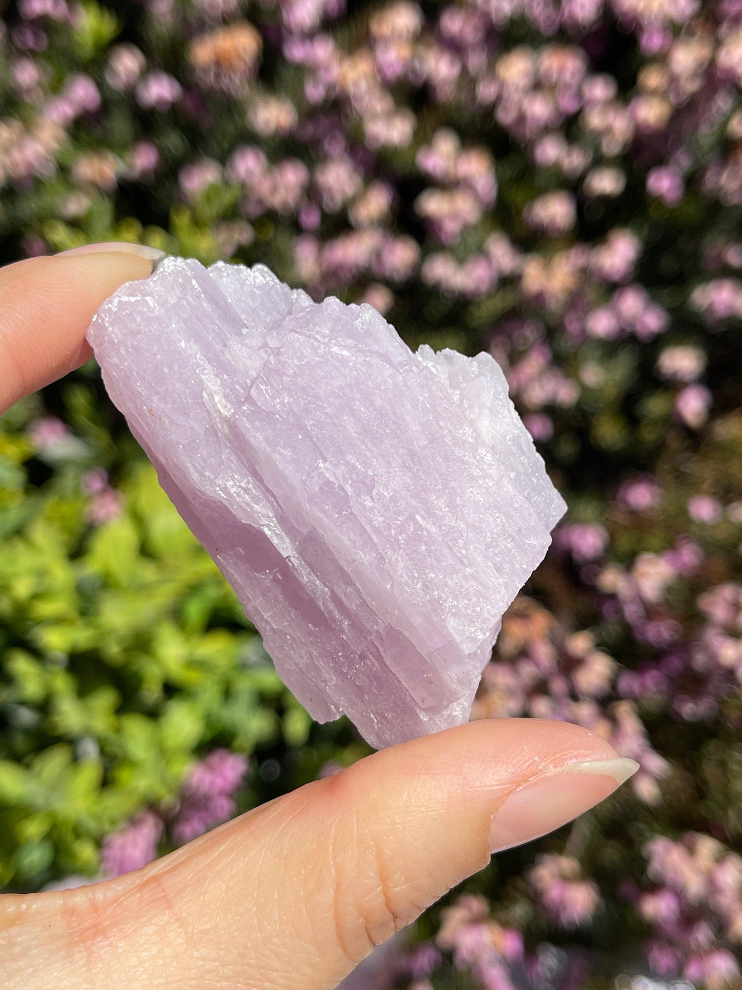 Kunzite Raw Stone, Rough Kunzite, Natural Kunzite Healing Crystal,  Large Kunzite Chunk Lovers Crystal Gift , Love Crystals