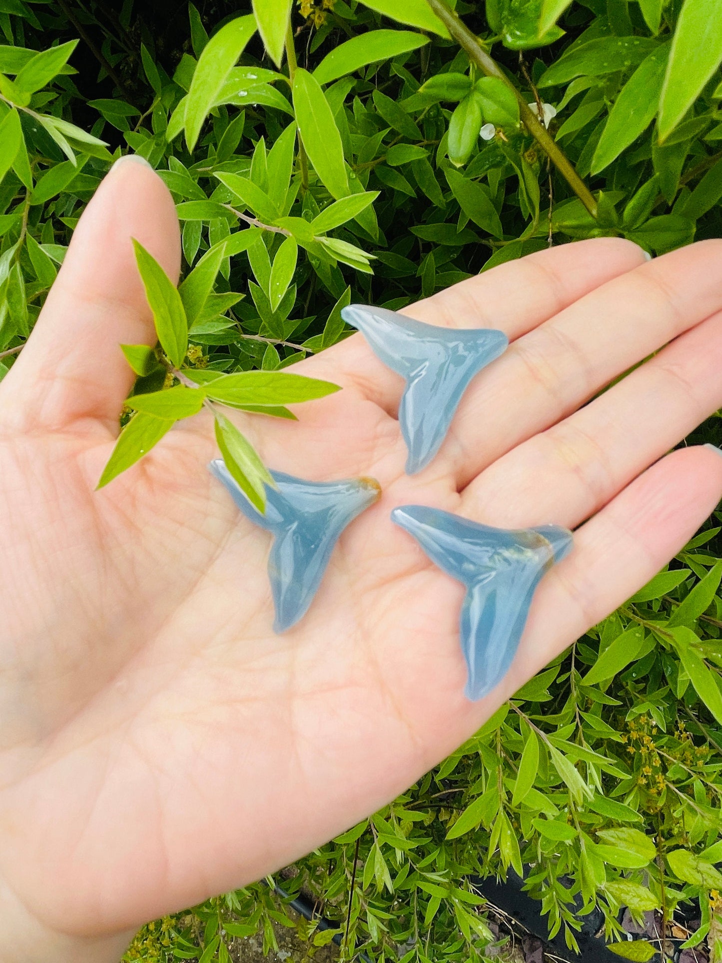 Lemurian Aquatine calcite moon, elephant, blue onyx star and whale tale , Rare Lemurian Aquatine  Calcite Crystal, Healing crystals