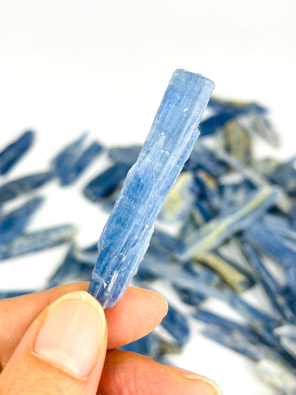 Blue Kyanite Blades