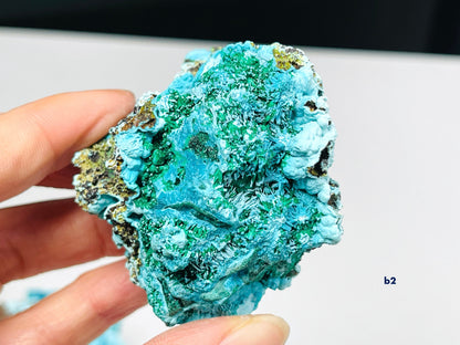 Chrysocolla with Malachite Mineral Specimen