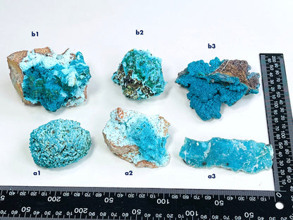 Chrysocolla with Malachite Mineral Specimen