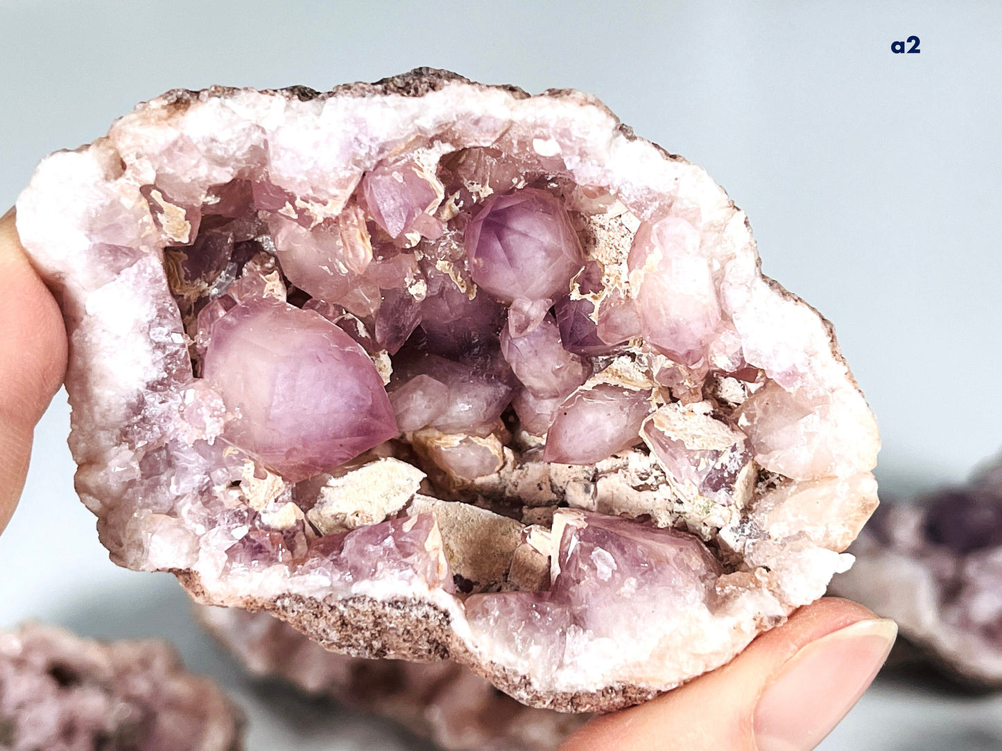 Pink Amethyst, Amazing Pink Amethyst Geode from Argentina, XXL Pink Amethyst Geodes, Premium Pink Amethyst Geodes,  B18-2