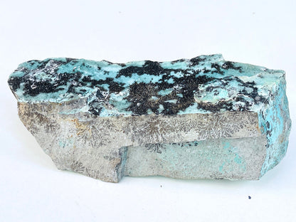 XL Dendritic Chrysocolla Specimen from Congo