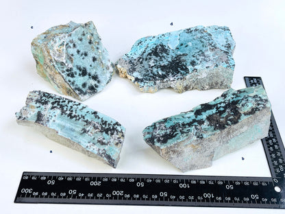 XL Dendritic Chrysocolla Specimen from Congo