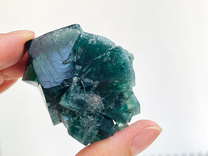 Diana Maria Fluorite -Hidden Forest Fluorite, Diana Maria, Frosterley, Weardale, England. Mineral Specimen.Collectors Fluorite-11