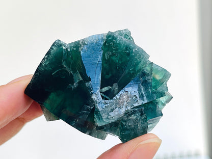 Diana Maria Fluorite -Hidden Forest Fluorite, Diana Maria, Frosterley, Weardale, England. Mineral Specimen.Collectors Fluorite-11