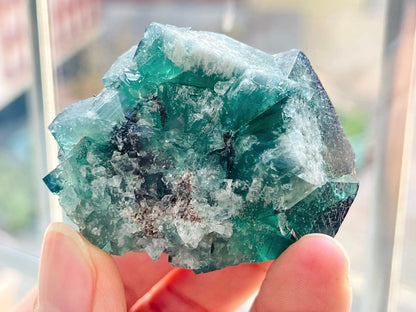 Diana Maria Fluorite -Hidden Forest Fluorite, Diana Maria, Frosterley, Weardale, England. Mineral Specimen.Collectors Fluorite-11