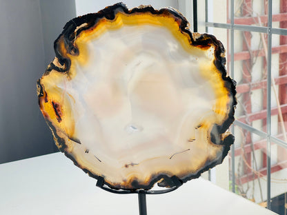 Premium Quality Brazilian Agate Slice on metal stand