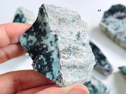 Druzy Chrysocolla with Dendrite