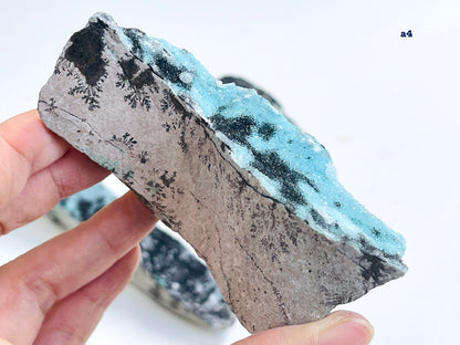 Druzy Chrysocolla with Dendrite