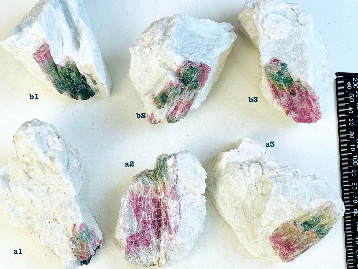 Watermelon Tourmaline Specimen, multicolor tourmaline , raw bi-color tourmaline, natural watermelon tourmaline specimen, crystal gift-2