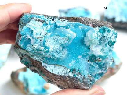 Druzy Chrysocolla