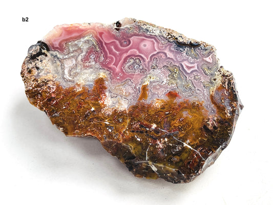 Rare Agua Nueva Agate, Polished Mexico Chihuahua Agate, Agate Specimen