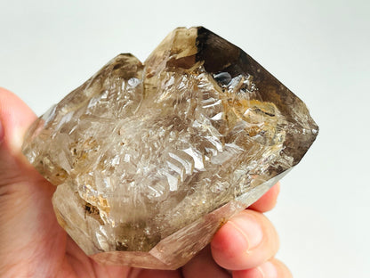 Rare Mexico Fenster diamond Quartz Specimen