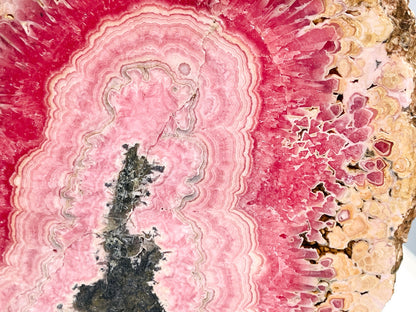 Rhodochrosite Slab Unique Collection piece