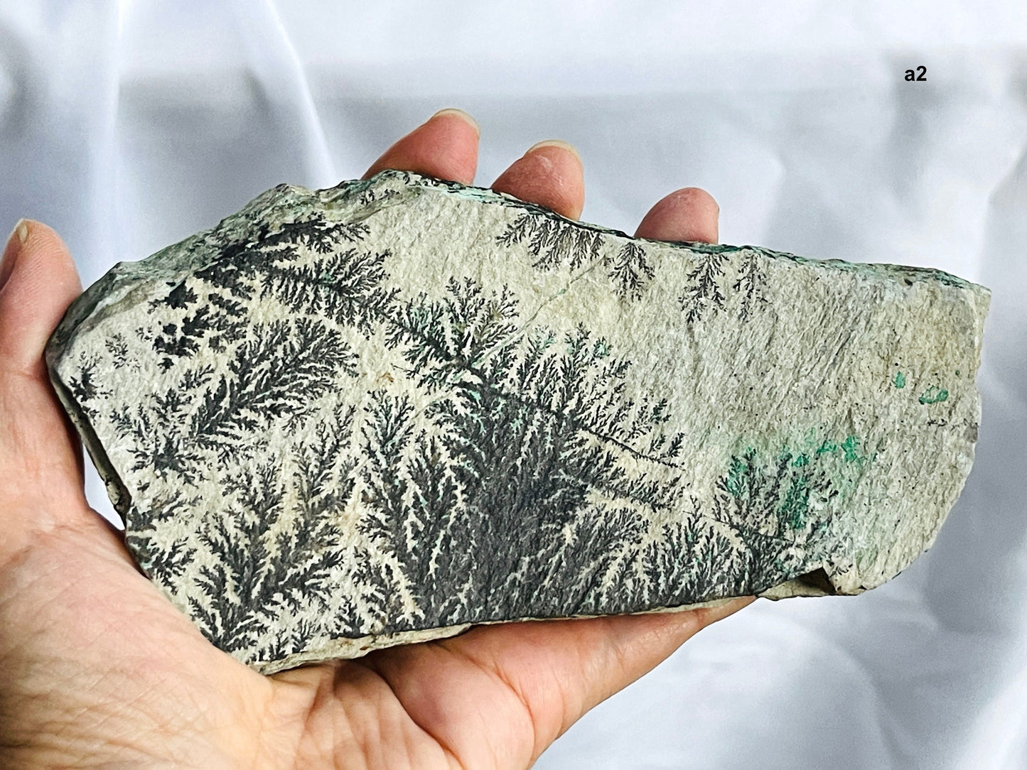 Dendrite Crystal In Limestone