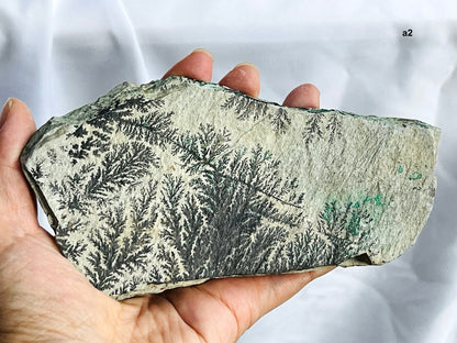 Dendrite Crystal In Limestone