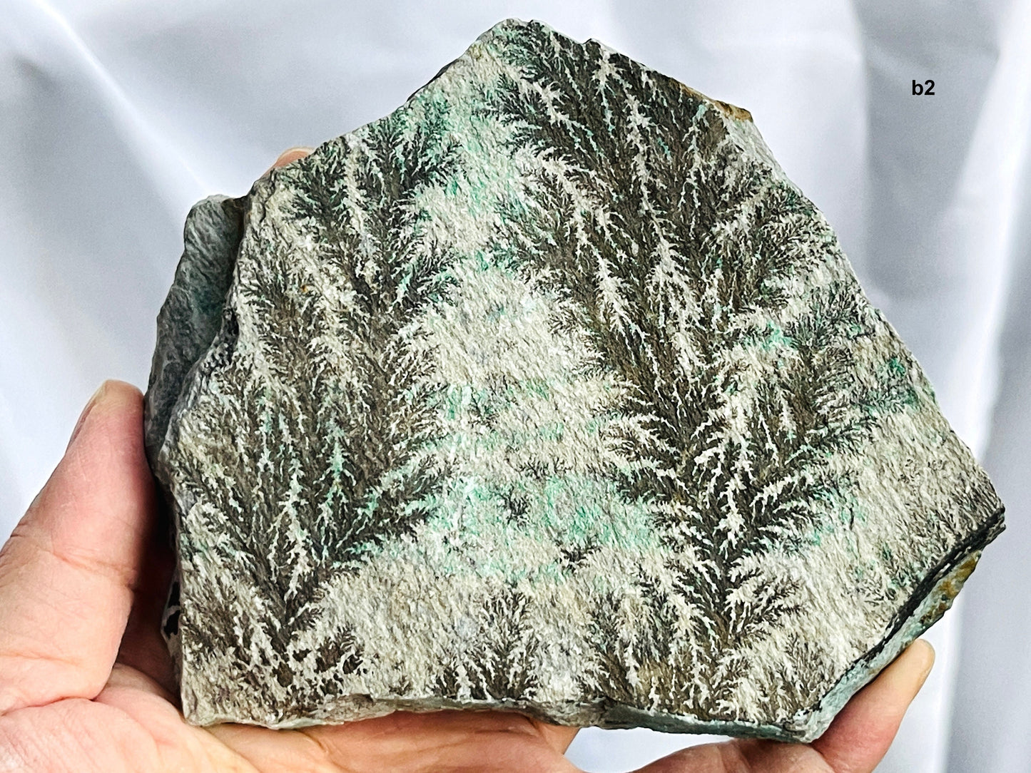 Dendrite Crystal In Limestone