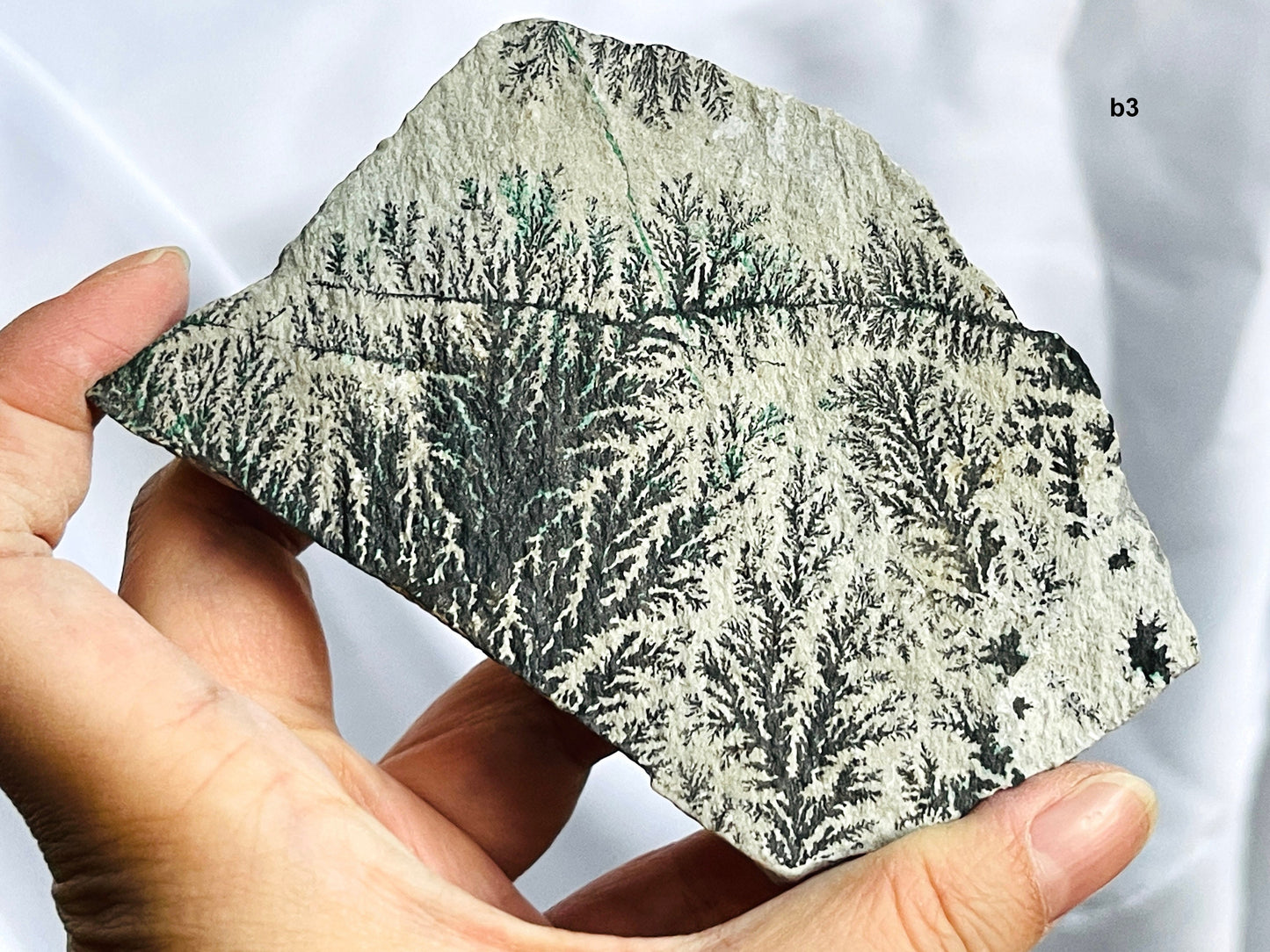 Dendrite Crystal In Limestone