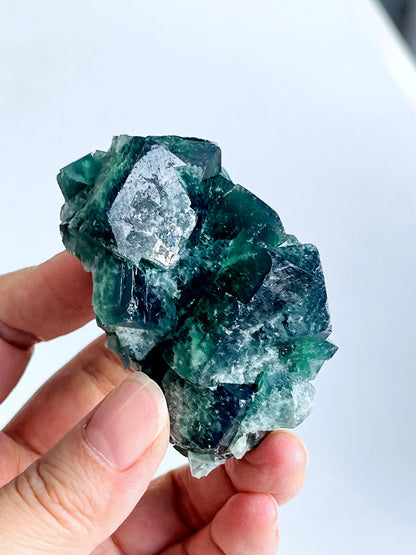 Extraordinary Fluorite Specimen-Hidden Forest Fluorite, Diana Maria, Frosterley, Weardale, England-13