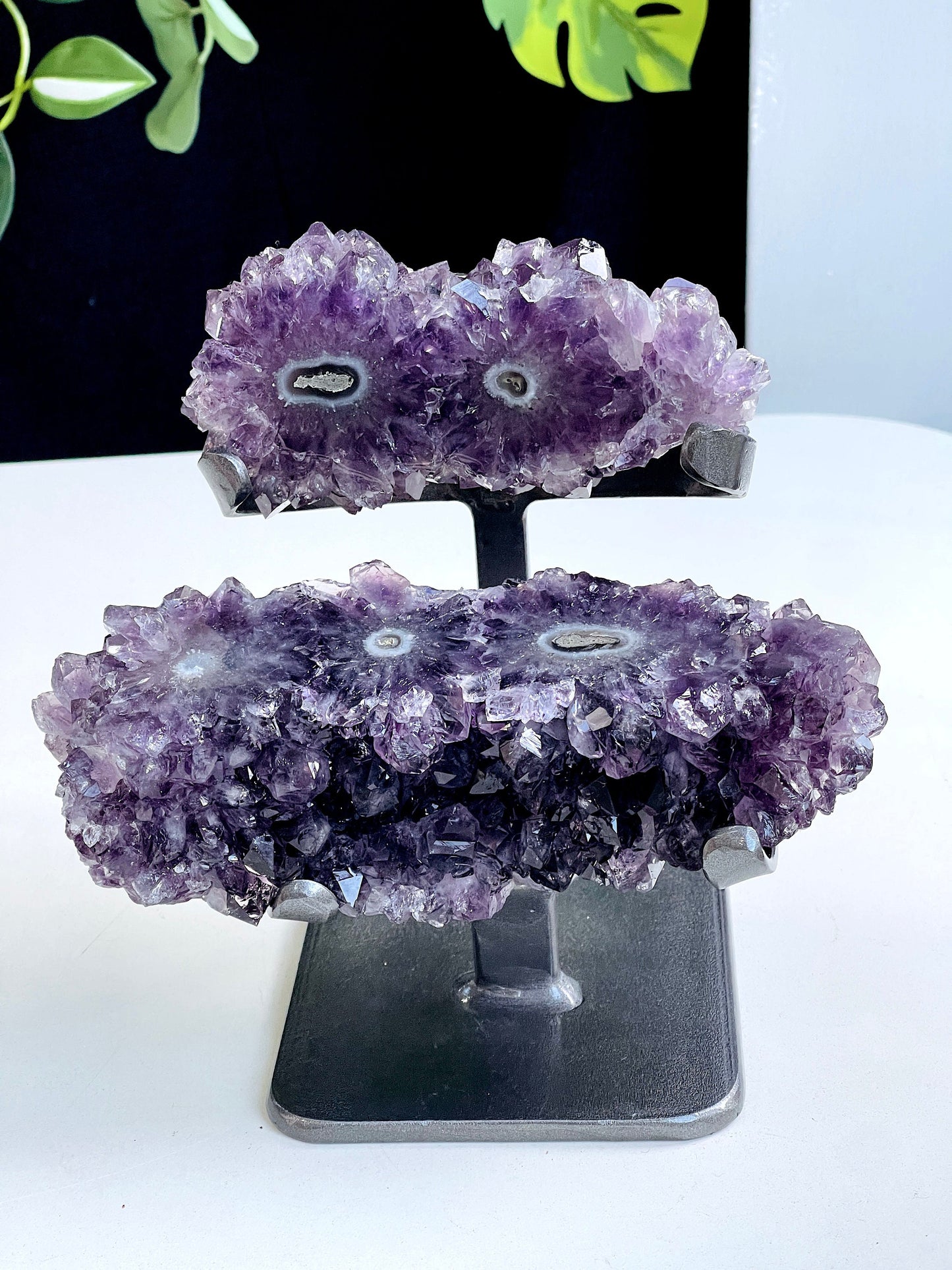 Extraordinary Amethyst Stalactite Rosette