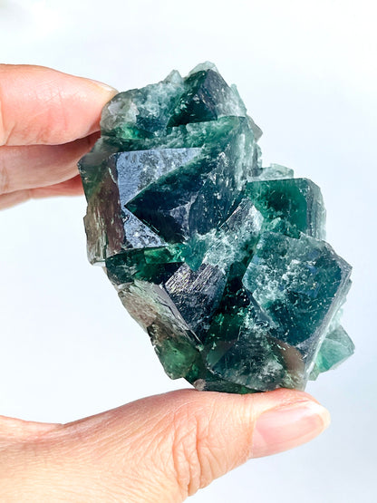 Extraordinary Fluorite Specimen-Hidden Forest Fluorite, Diana Maria, Frosterley, Weardale, England-13