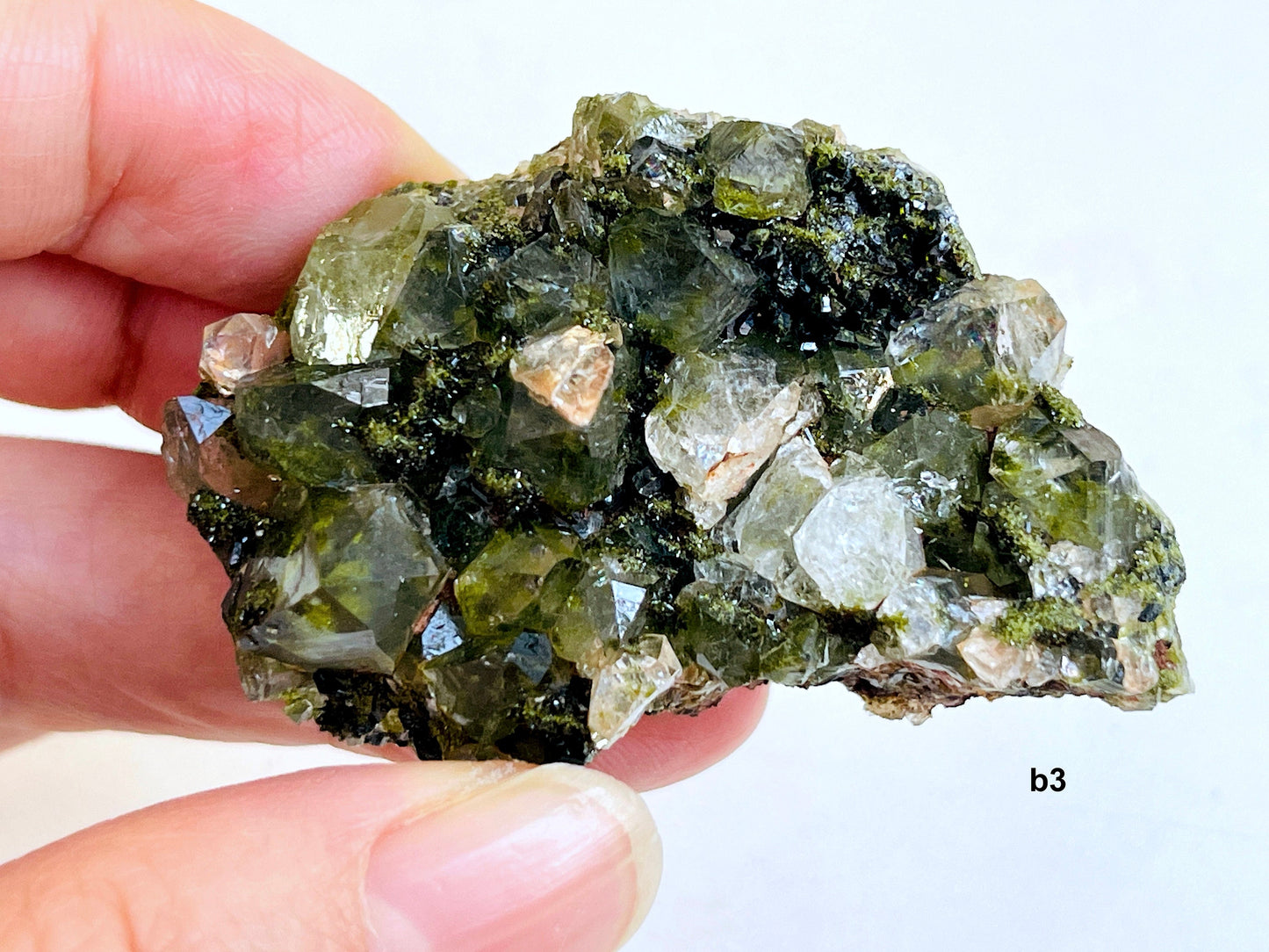 Super Sparkly Forest Epidote with Quartz Specimen -3