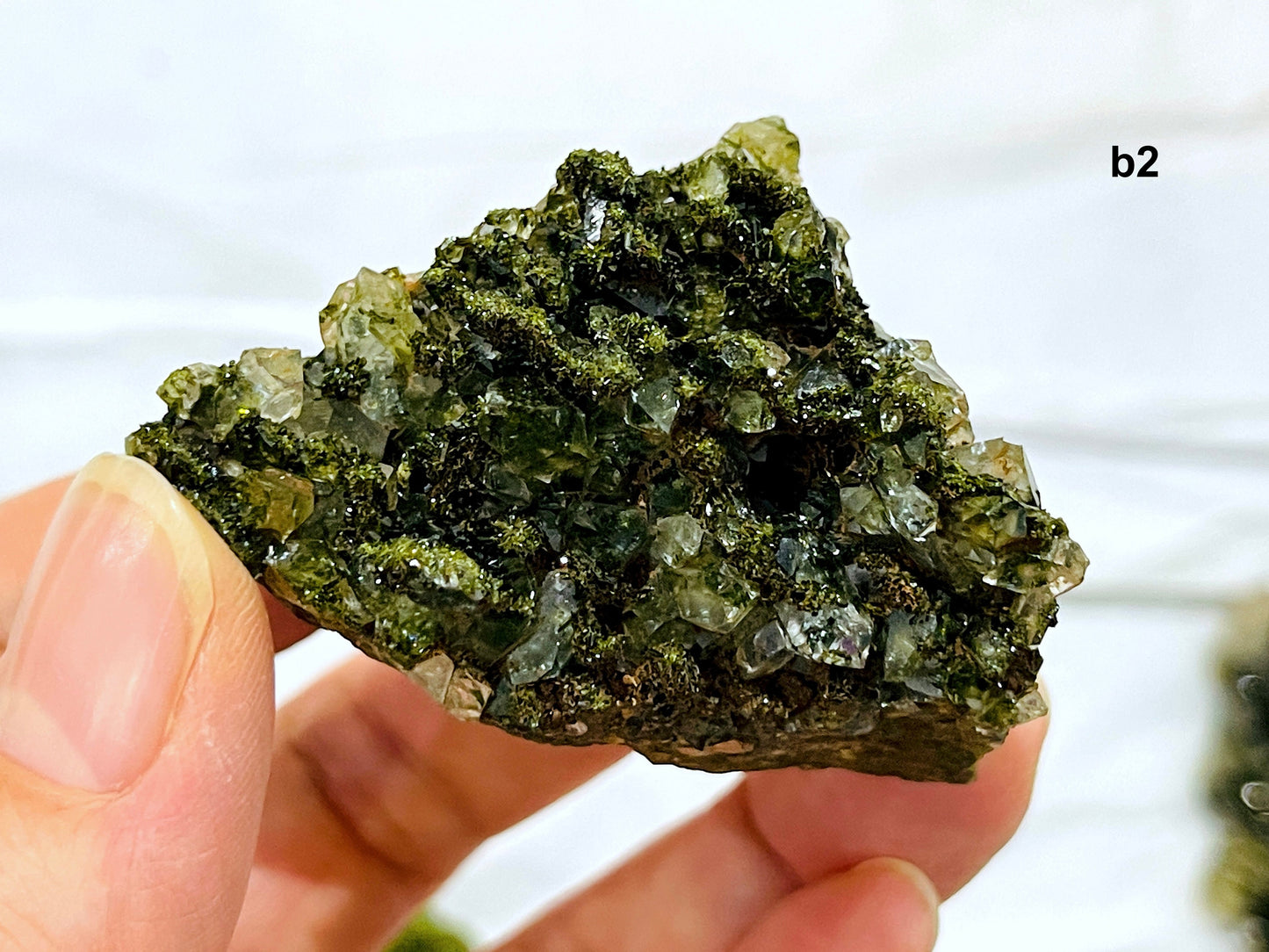 Super Sparkly Forest Epidote with Quartz Specimen, Epidote Specimen, Crystal Gift, Mineral Collection-4