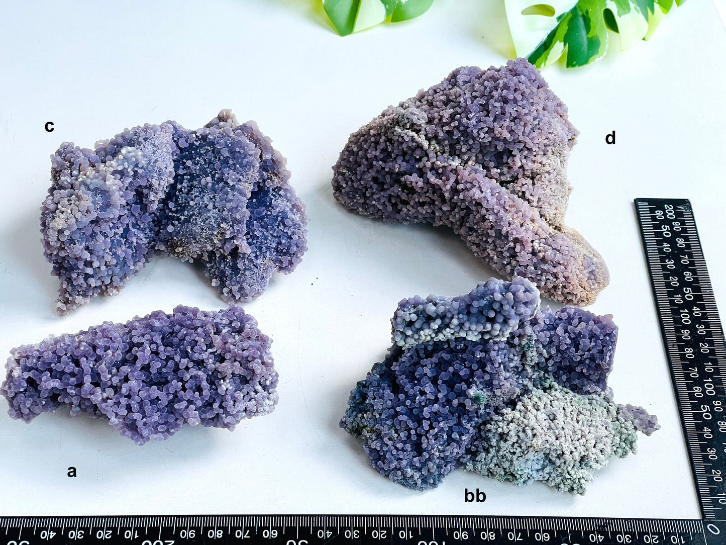 Grape Agate Cluster Specimen B4