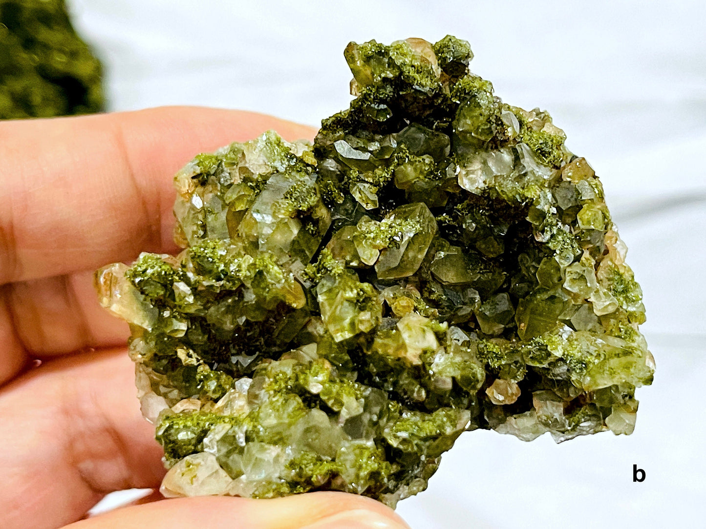 Super Sparkly Forest Epidote with Quartz Specimen, Epidote Specimen, Crystal Gift, Mineral Collection-5