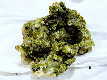 Super Sparkly Forest Epidote with Quartz Specimen, Epidote Specimen, Crystal Gift, Mineral Collection-5