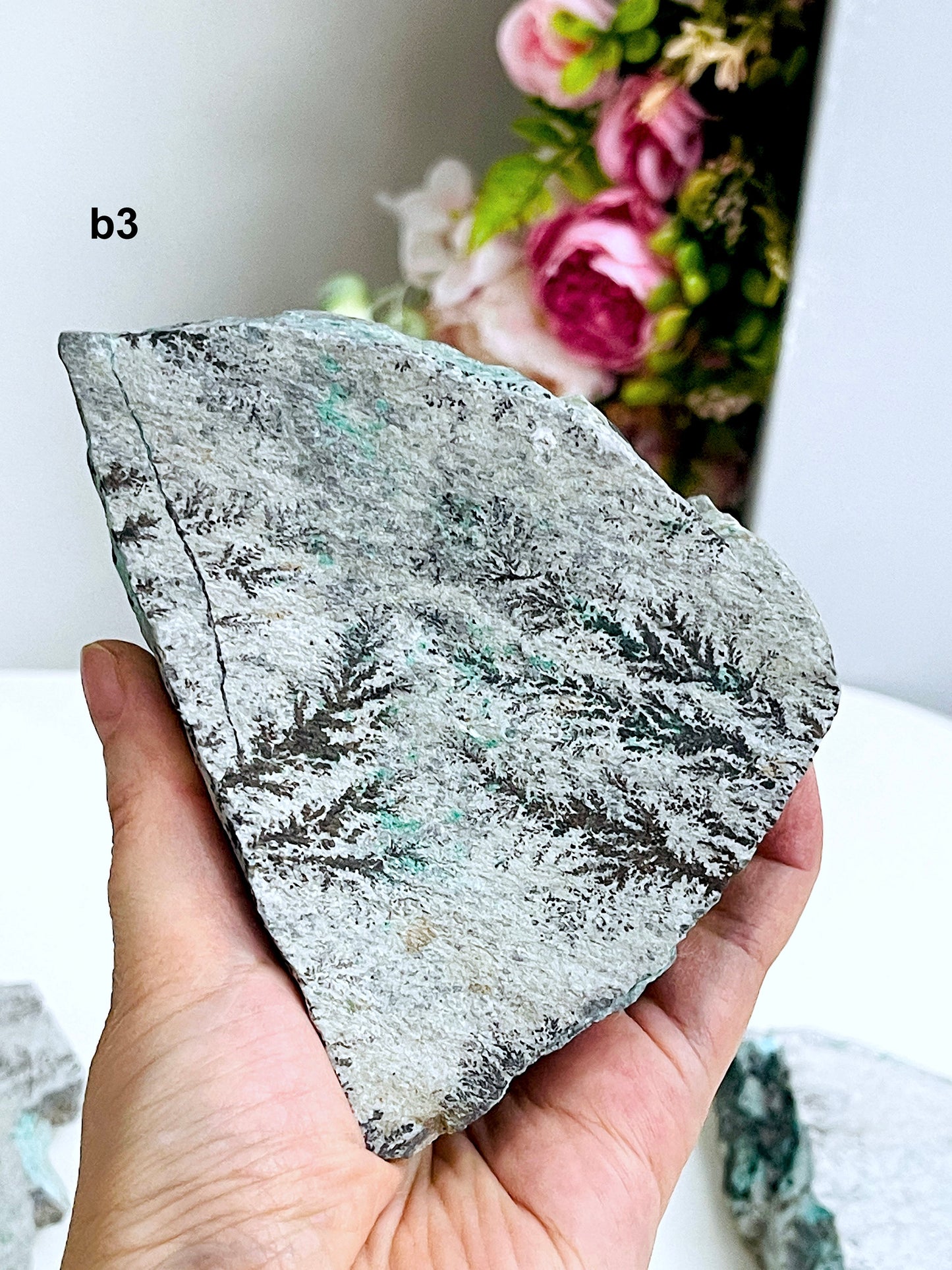 Dendrite Crystal In Limestone Resembling Tree-Like Form