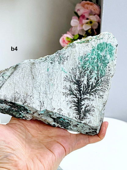 Dendrite Crystal In Limestone Resembling Tree-Like Form