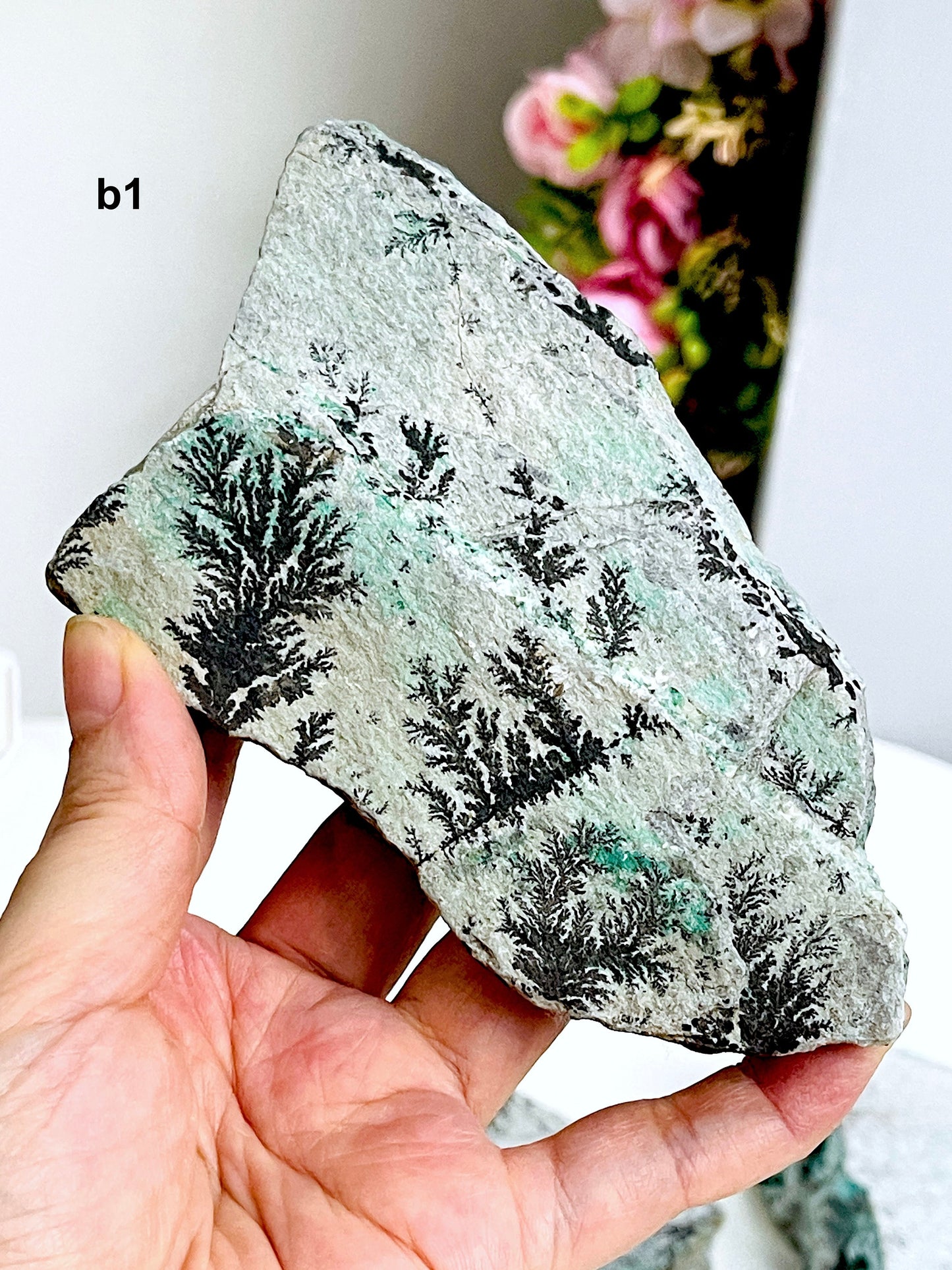 Dendrite Crystal In Limestone Resembling Tree-Like Form