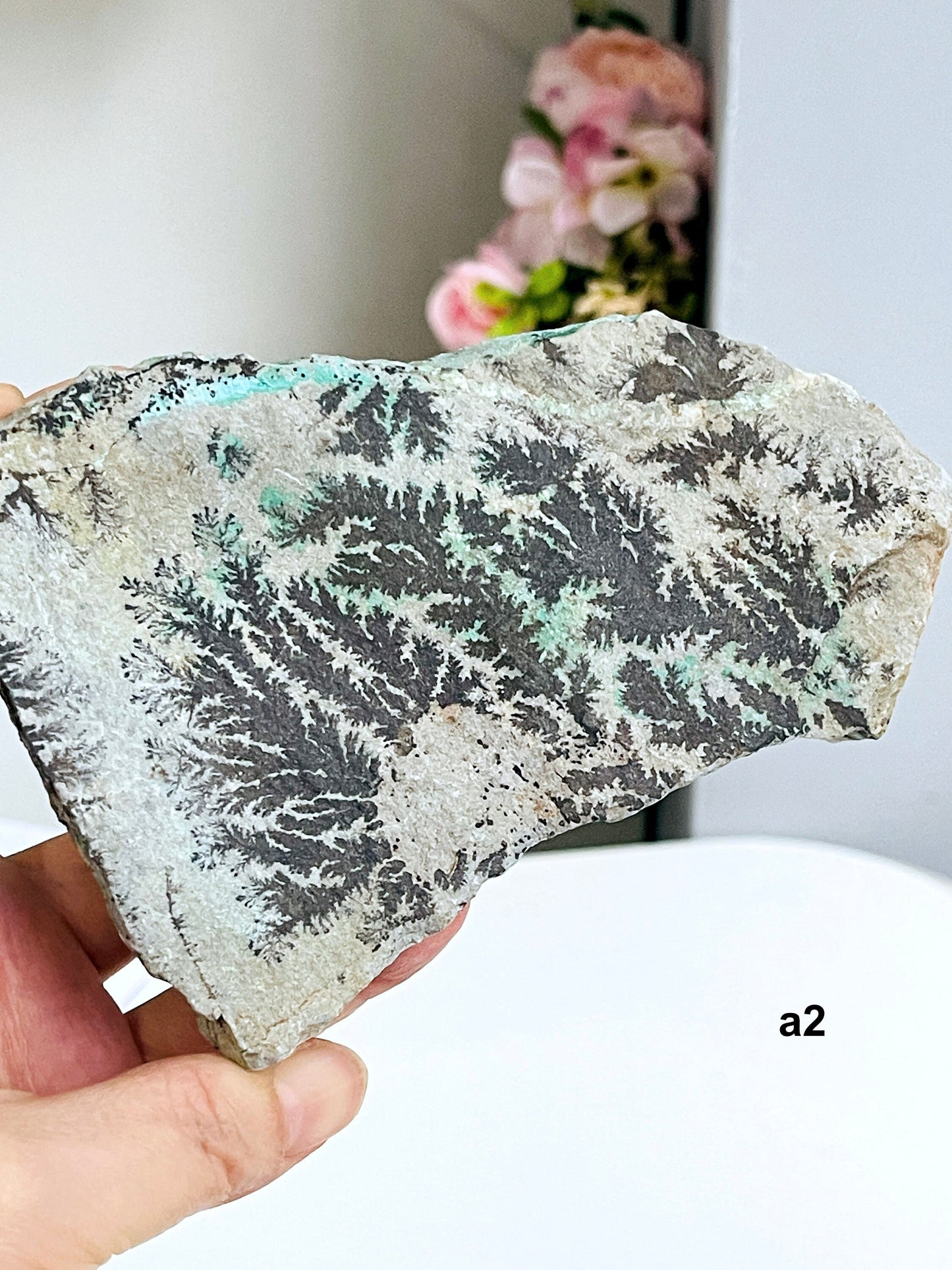 Dendrite Crystal In Limestone Resembling Tree-Like Form