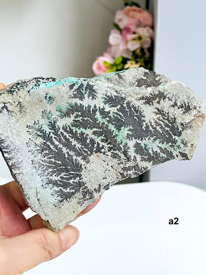 Dendrite Crystal In Limestone Resembling Tree-Like Form