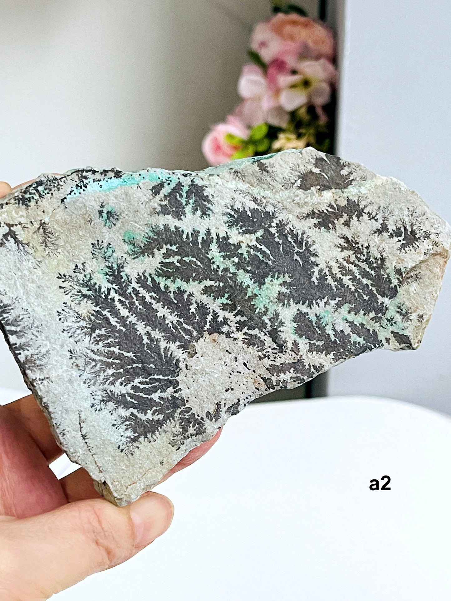 Dendrite Crystal In Limestone Resembling Tree-Like Form, Nature’s Artwork, Natural Home Decor, Dendrite from Congo