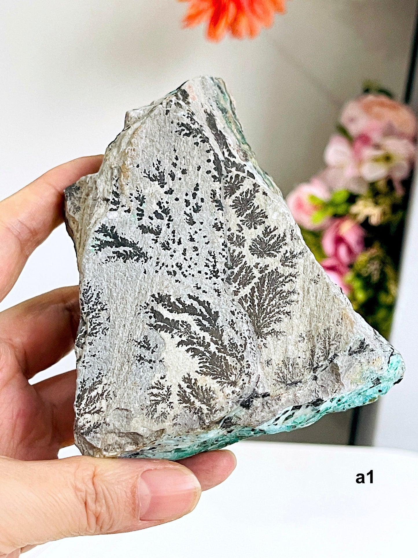 Dendrite Crystal In Limestone Resembling Tree-Like Form