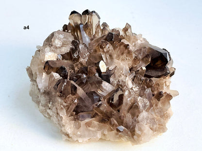 Smoky Quartz Cluster, Super Extra Quality Natural Brazilian Smoky Quartz, Clearing Crystals, Protection, Mediation, Chakra, Altar Crystals