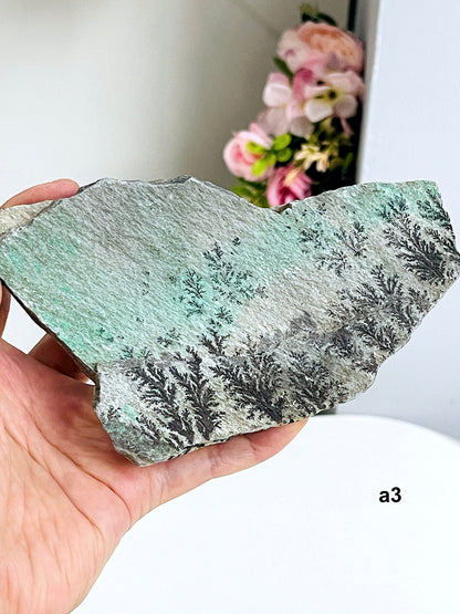 Dendrite Crystal In Limestone Resembling Tree-Like Form, Nature’s Artwork, Natural Home Decor, Dendrite from Congo