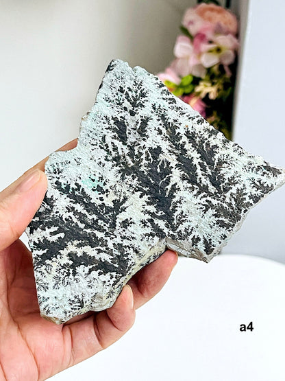 Dendrite Crystal In Limestone Resembling Tree-Like Form