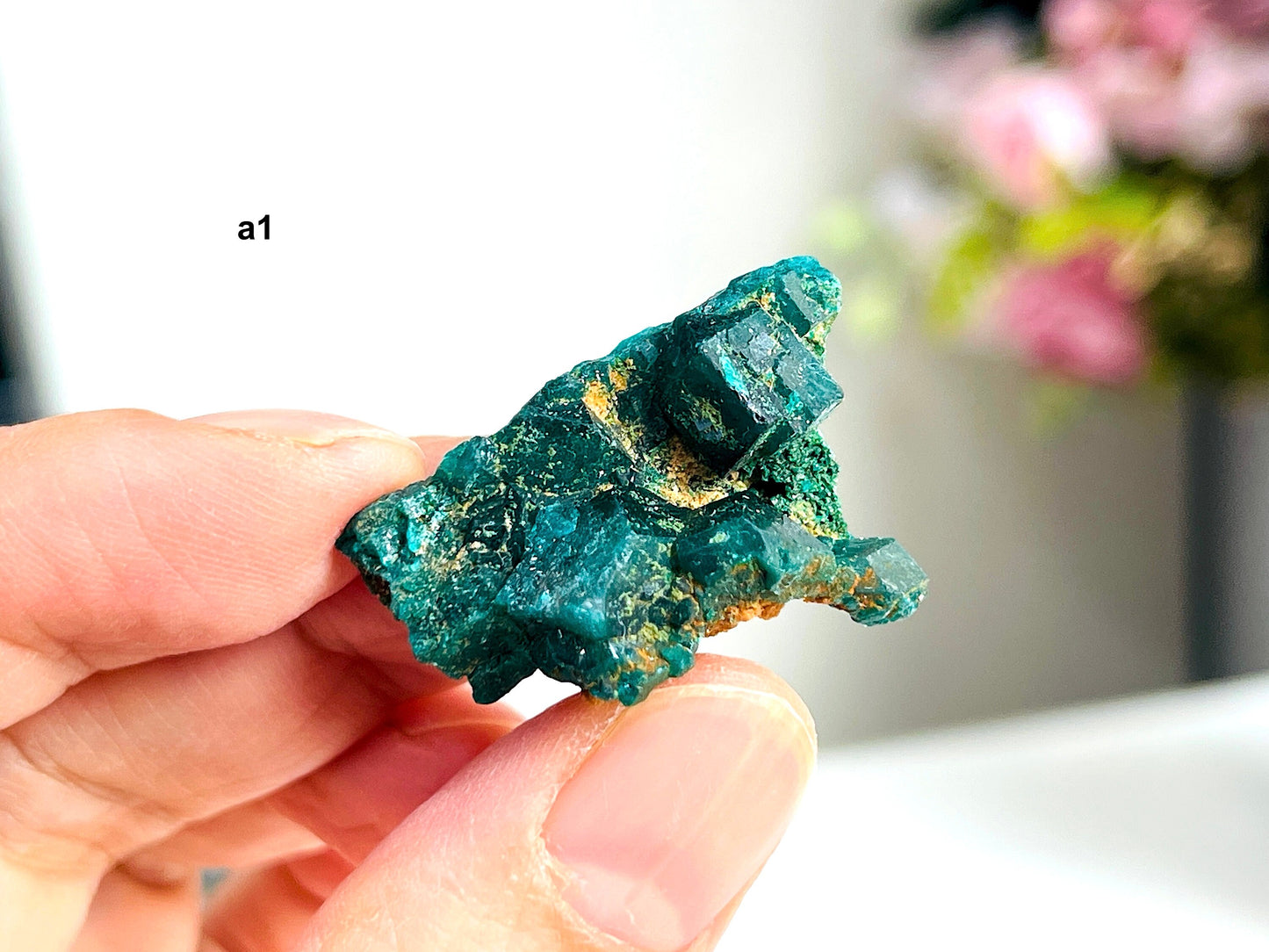 Dioptase Specimen, Dioptase from Sanda Hills,Mindouli,Pool Department,Mindouli District,Congo,green DioptaseCrystal,Dioptase Cluster -1