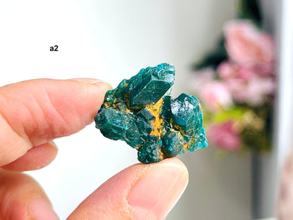 Dioptase Specimen, Dioptase from Sanda Hills,Mindouli,Pool Department,Mindouli District,Congo,green DioptaseCrystal,Dioptase Cluster -1