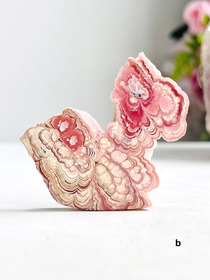 Extraordinary Rhodochrosite slab collector's piece