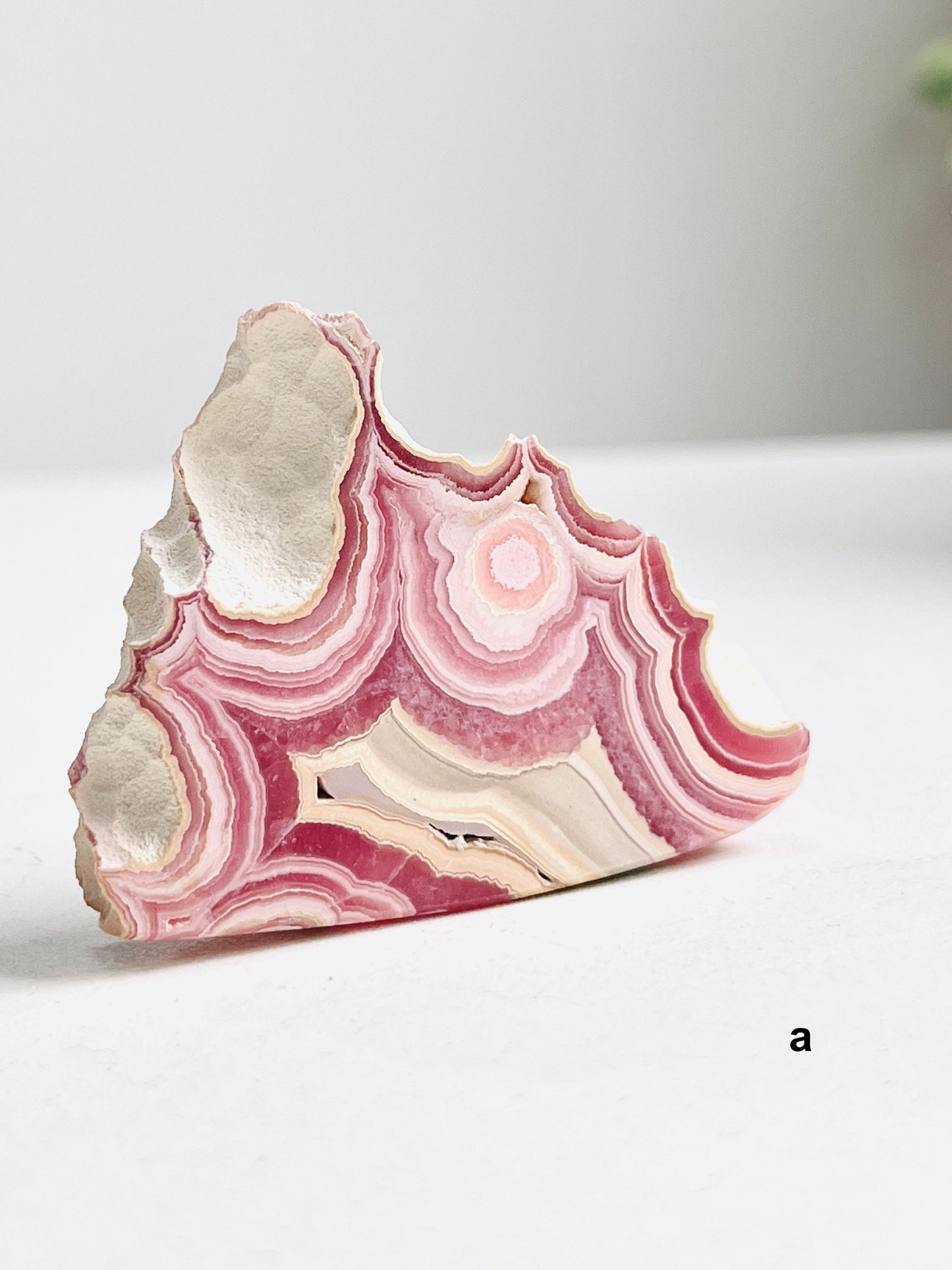 Extraordinary Rhodochrosite slab collector's piece