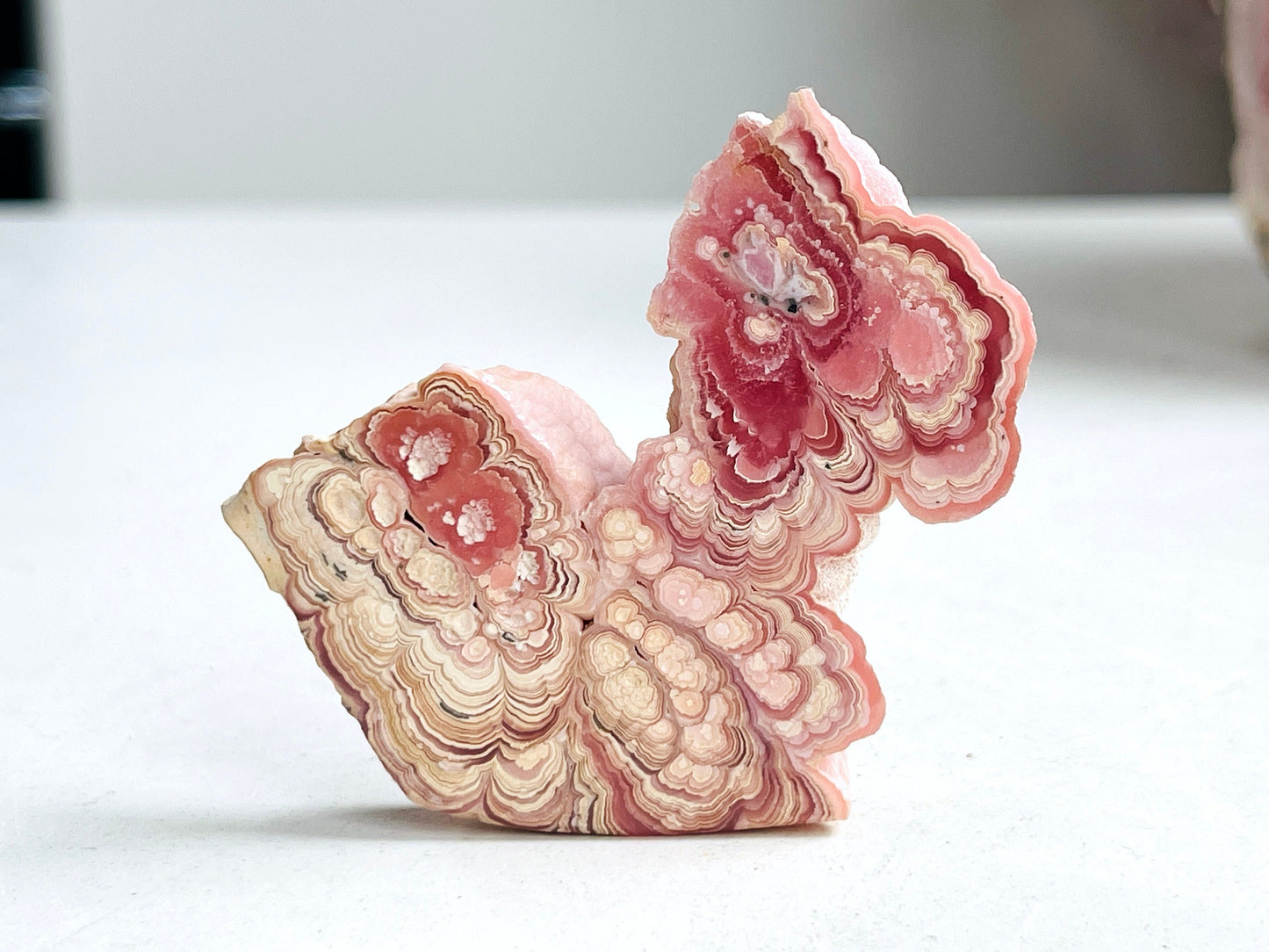 Extraordinary Rhodochrosite slab collector's piece