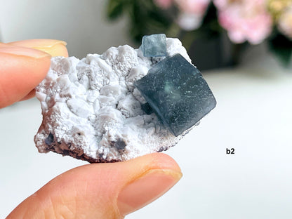 New Find Fluorite Specimen, Morandi- Green / Blue Fluorite on white Quartz from Inner Mongolia China, Chinese Fluorite